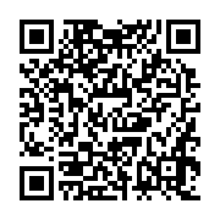 QR code for ZFD376