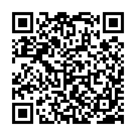 QR code for ZFF597