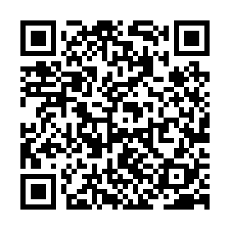 QR code for ZFL228