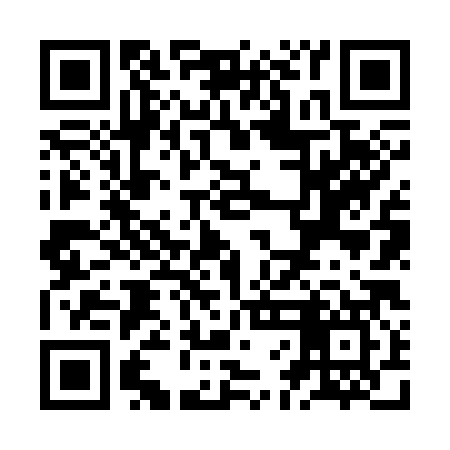 QR code for ZFN387