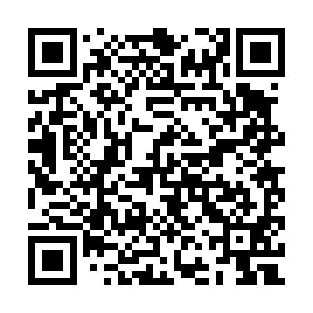 QR code for ZFR491