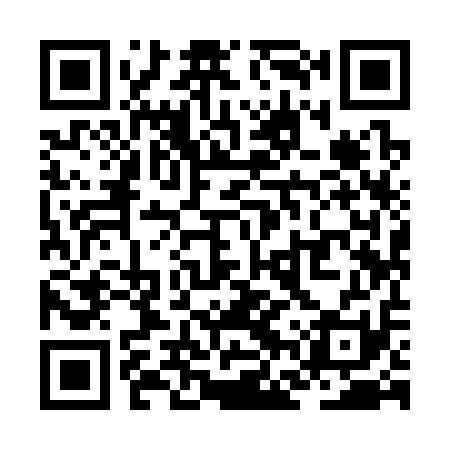 QR code for ZFY311
