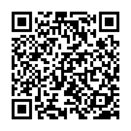 QR code for ZGM389