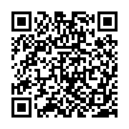 QR code for ZHG272