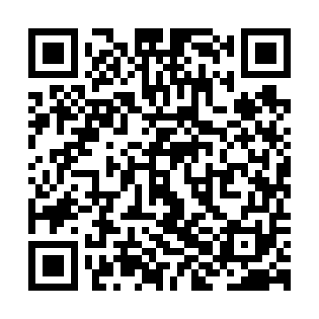 QR code for ZHI651
