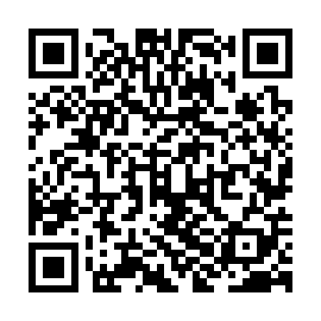 QR code for ZHN309