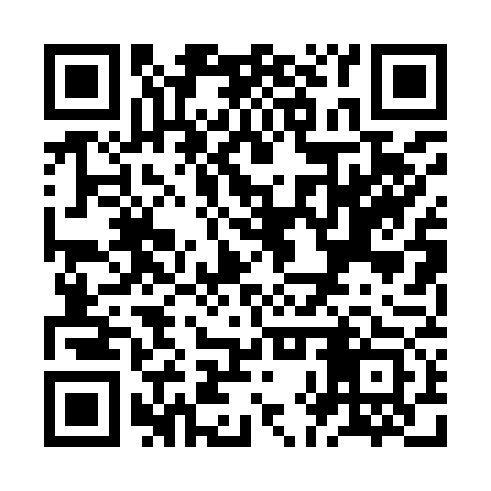 QR code for ZHP973