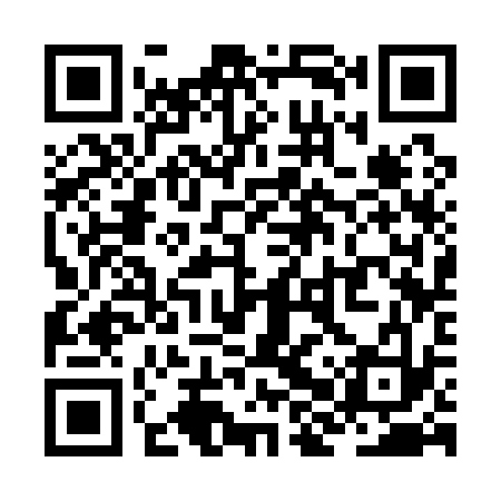 QR code for ZHS133