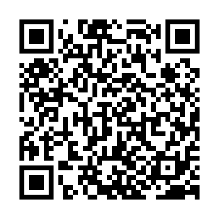 QR code for ZIE111