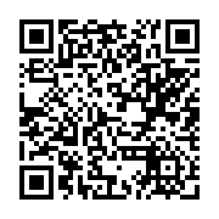 QR code for ZIG656