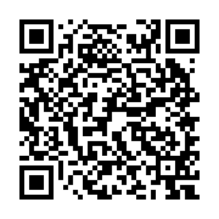 QR code for ZIU291