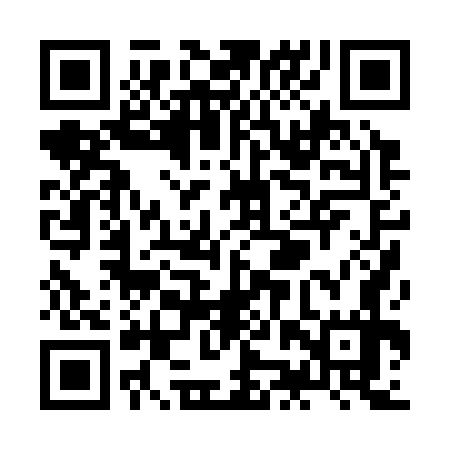 QR code for ZJP377