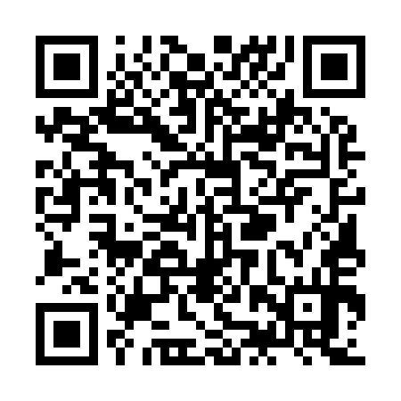 QR code for ZJU954
