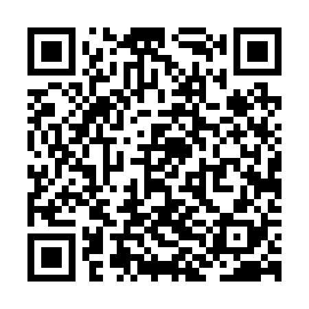 QR code for ZLD228