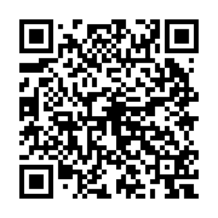 QR code for ZLI212