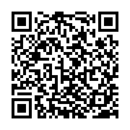 QR code for ZLO381