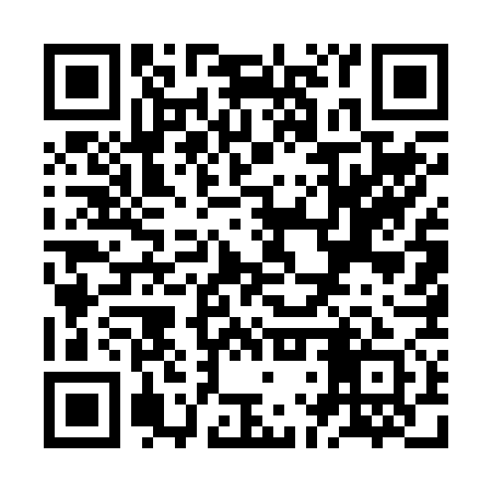 QR code for ZLU271