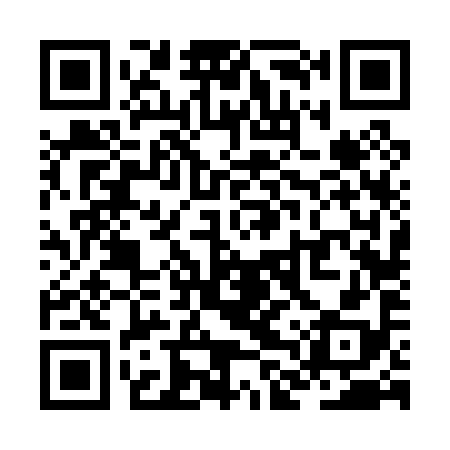 QR code for ZLV098