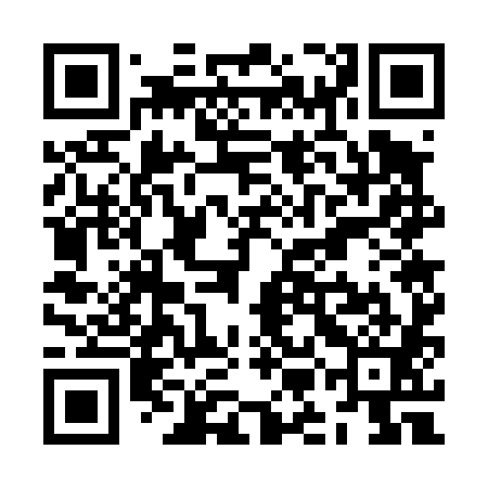 QR code for ZMG481
