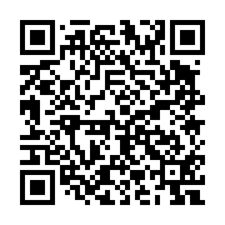 QR code for ZMQ411