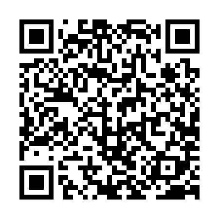 QR code for ZMT389