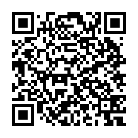 QR code for ZMZ239