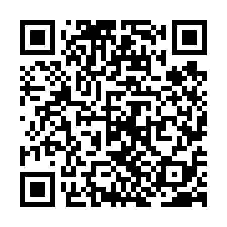 QR code for ZNN619