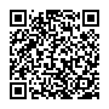 QR code for ZON008