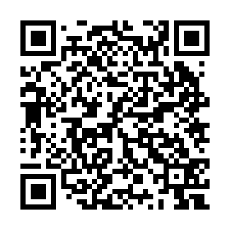 QR code for ZPJ233