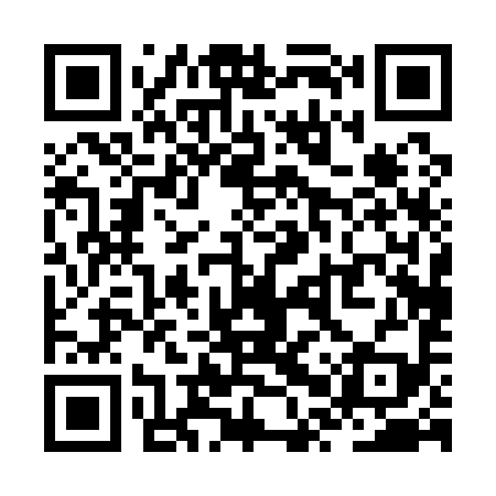 QR code for ZPP199