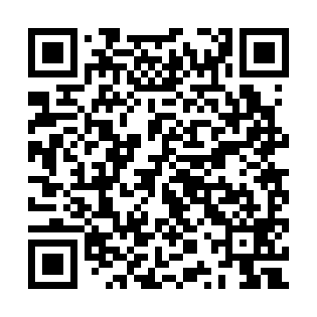 QR code for ZPR399