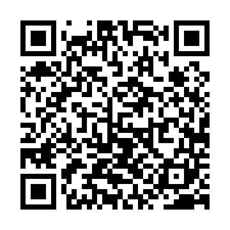 QR code for ZQD141
