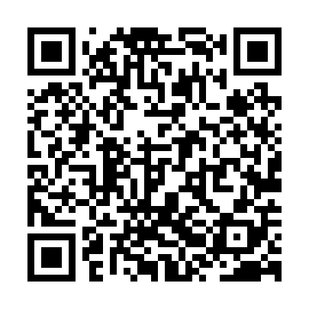 QR code for ZRL208