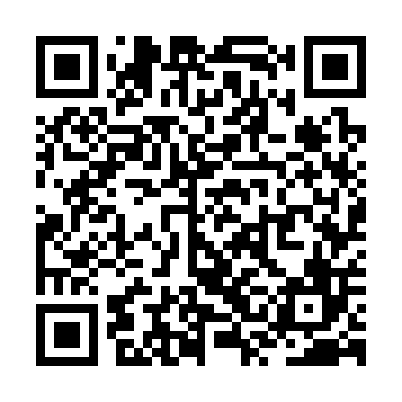 QR code for ZSG306