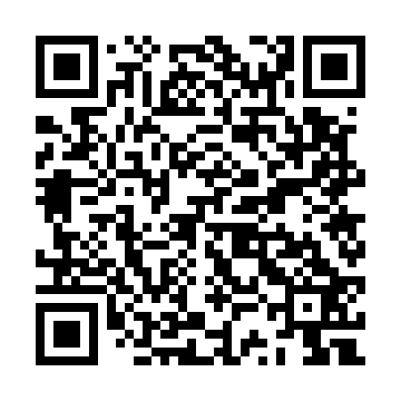 QR code for ZSG523