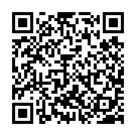 QR code for ZST699