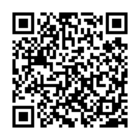 QR code for ZSZ611