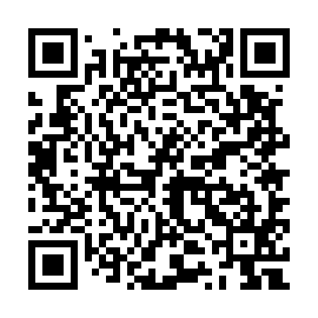 QR code for ZTE595