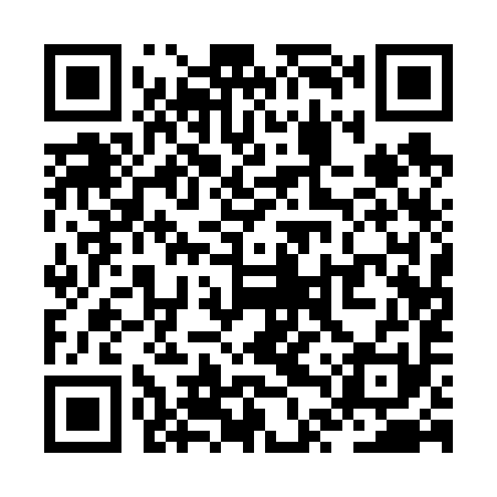 QR code for ZTQ691