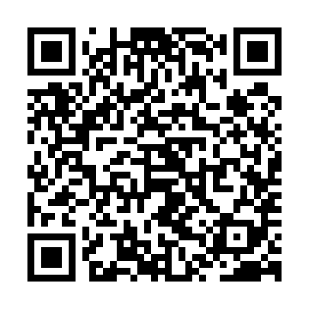 QR code for ZTS589