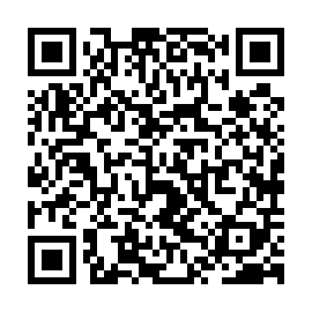 QR code for ZTX509