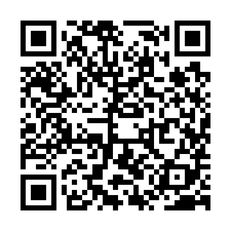 QR code for ZUI789