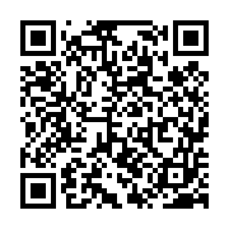 QR code for ZUN453