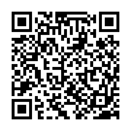 QR code for ZVI213