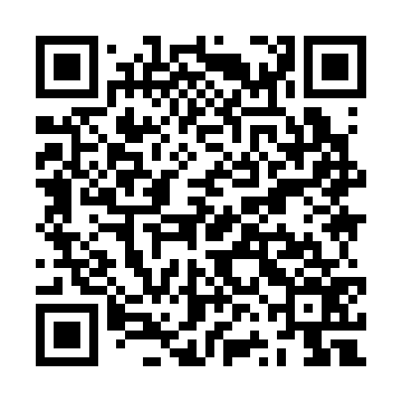 QR code for ZVI376