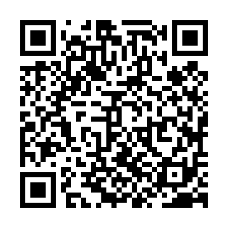 QR code for ZVJ411