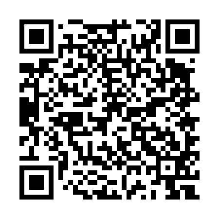 QR code for ZWE493