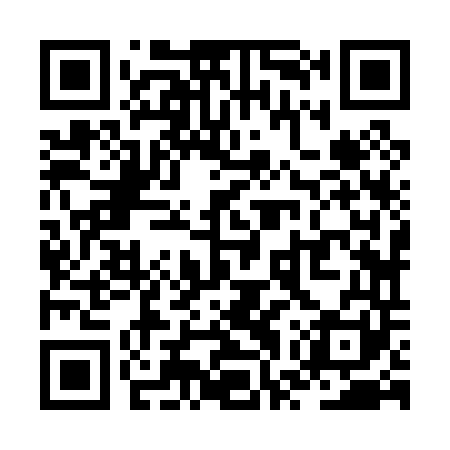 QR code for ZWZ041