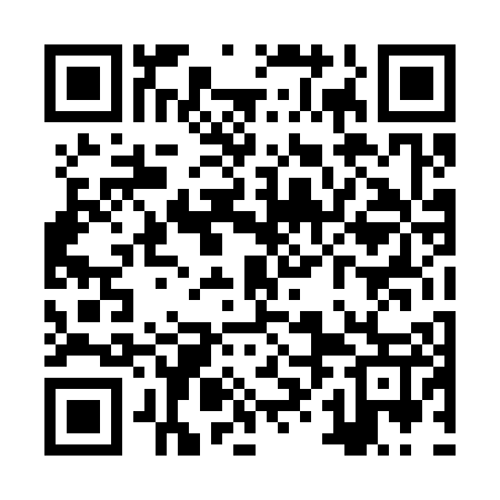 QR code for ZXD307
