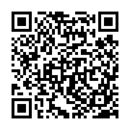 QR code for ZXN667